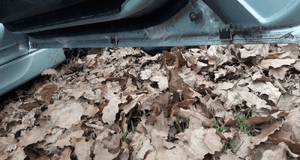 Mazda 5 05-10   Drzwi tylne prawe tył w kolor 22V szyba 3