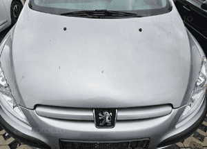 Peugeot 307 maska EZAC EZRC 1