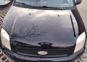 Ford Fusion 2 maska 84 3