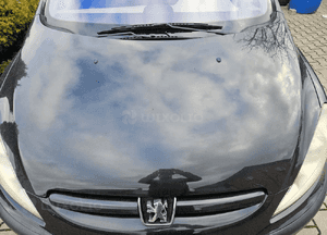 Peugeot 307  maska EXLD 1