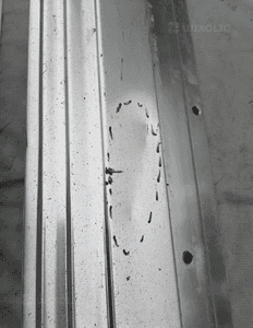 Listwa progowa stopień Porsche Cayenne II 7P5854888 5
