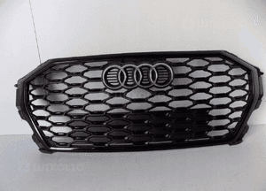 Audi Q3 83F S-Line Grill / Atrapa 10519 1