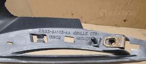 Atrapa grill Jaguar S-Type 2R83-8A133-AA 6