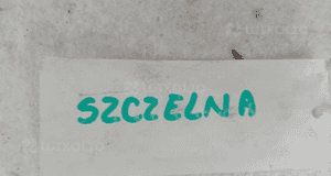 RENAULT CLIO III 1.5 DCI chłodnica zespolona wody klimatyzacji 2005-2012 8200688390 SZCZELNA 6