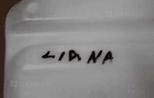 ZBIORNIK PŁYNU SPRYSKIWACZY SUZUKI LIANA 3