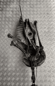 BMW F32 ZWROTNICA PRAWY TYŁ 6797515 1