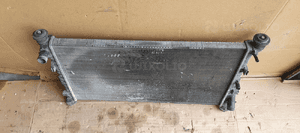 Chłodnica wody płynu Ford Transit Connect 1.8 TDCI 4T16-8005-GA 2