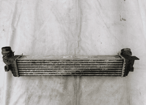 Intercooler Renault Scenic 3 III 144969568 2