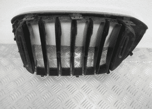 Grill gril atrapa nerka prawa bmw X3 G01 X4 G02 black 2017- 15