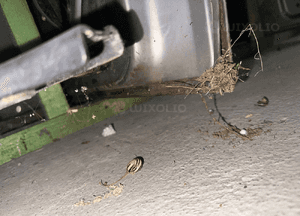MERCEDES VITO 638 drzwi suwane lewe v klasa 6