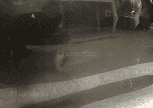Drzwi prawe przednie prawy przód ford b max b-max 12- 2
