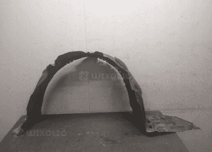 BŁOTNIK PRZÓD NADKOLE LEWE TOYOTA PRIUS IV 4 15- 53876-47110 1