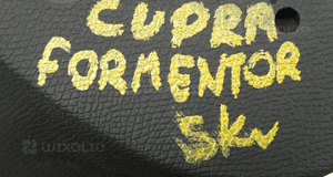 Kierownica cupra formentor  5FA419091FP 7