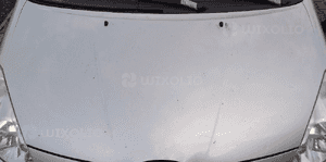 Toyota Corolla Verso maska 04-08 1C0 2