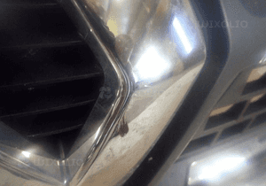 Atrapa gril grill renault master 4 iv 2019- 3