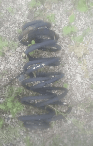 SMART FORFOUR SPRĘŻYNA ZAWIESZENIA SPRĘŻYNY