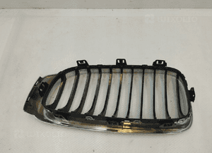 BMW F34 Kratka ozdobna prawa 7294804 6