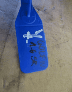 POMPA WSPOMAGANIA AUDI SKODA SEAT VW GOLF IV 4 1.6 BENZYNA 1J0422154C 8