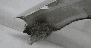 Błotnik przedni prawy fiat punto evo 296 2010 10