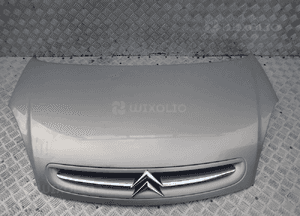 Maska citroen picasso radom 1