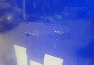 KLAPA TYŁ POKRYWA TOYOTA HILUX 8 VIII 2015- 7