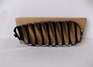 BMW Z4 E89 Nerka / Grill Zderzaka L - 3834 8
