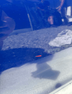 Drzwi prawy przod przednie peugeot 308 ii T9 eegd 10