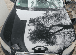 Audi A3 8P Sportbeck lift maska LY9B 4