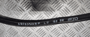 Audi Q5 8R uszczelka progu lewy lewa przód 8R0839119F 12
