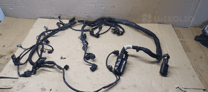 Wiązka instalacja silnika Mercedes A-Klasa W169 2.0 CDI A6401501933 8