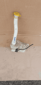 Zbiorniczek spryskiwaczy pompka Opel Movano III 2891000023R 2