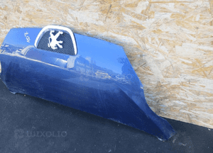 PEUGEOT 107 MASKA POKRYWA SILNIKA 6