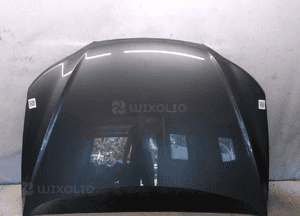 MASKA POKRYWA SILNIKA | HYUNDAI SQANTA FE II 2 SZARA 1