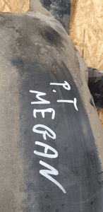 Nadkole prawy tył tylne prawe Renault Megane II Kombi 8200141544 6