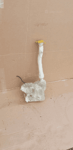 Zbiorniczek spryskiwaczy pompka Opel Movano III 2891000023R 5